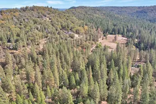 18131 Blue Tent School Rd, Nevada City, CA 95959 - Photo 81