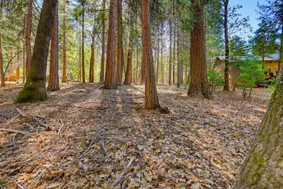 13184 Quaker Hill Cross Road, Nevada City, CA 95959 - Photo 33