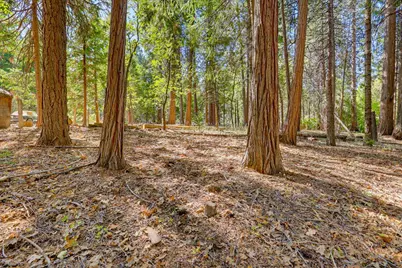 13184 Quaker Hill Cross Road, Nevada City, CA 95959 - Photo 19