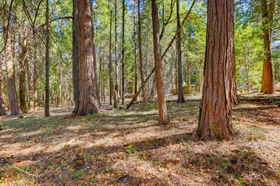 13184 Quaker Hill Cross Road, Nevada City, CA 95959 - Photo 11