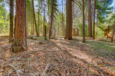 13184 Quaker Hill Cross Road, Nevada City, CA 95959 - Photo 15