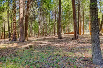 13184 Quaker Hill Cross Road, Nevada City, CA 95959 - Photo 13