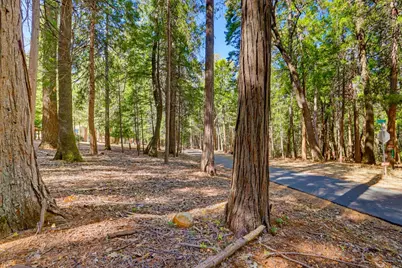 13184 Quaker Hill Cross Road, Nevada City, CA 95959 - Photo 31