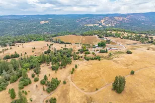 6340 Grizzly Flat Rd, Somerset, CA 95684 - Photo 7