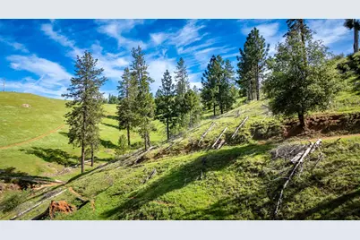 12420 Highway 26, Mokelumne Hill, CA 95245 - Photo 33