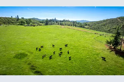 12420 Highway 26, Mokelumne Hill, CA 95245 - Photo 43