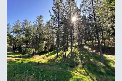 1711 The Point Rd, Meadow Vista, CA 95722 - Photo 17