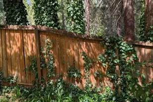 108 Gold Nugget Ct, Nevada City, CA 95959 - Photo 59