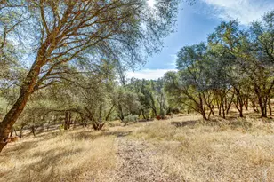 10131 Carriage Rd, Grass Valley, CA 95949 - Photo 73