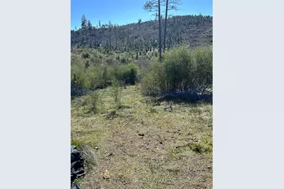 1234 Hog Ranch Road, Oroville, CA 95969 - Photo 5