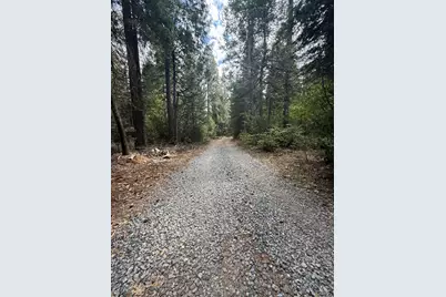 10071 Ditch Camp Road, Georgetown, CA 95634 - Photo 33