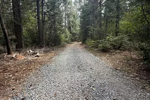 10071 Ditch Camp Rd, Georgetown, CA 95634 - Photo 33