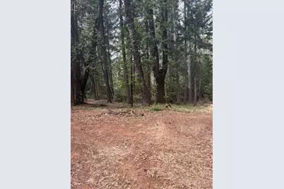 10071 Ditch Camp Road, Georgetown, CA 95634 - Photo 35