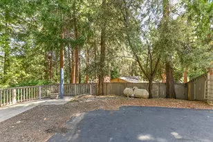 16910 McKenzie Dr, Pioneer, CA 95666 - Photo 53