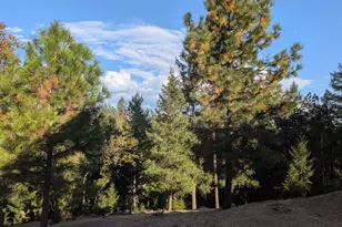 21895 One Fine Pl, Colfax, CA 95713 - Photo 21