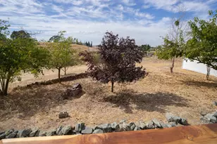3144 Inyo Ct, Ione, CA 95640 - Photo 39