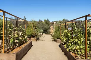 2320 Vineyard Estates Court, Auburn, CA 95603 - Photo 69