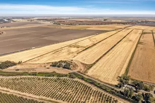 17131 Jackson Slough Rd, Isleton, CA 95641 - Photo 17