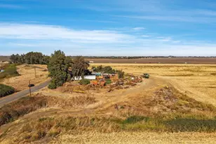 17131 Jackson Slough Rd, Isleton, CA 95641 - Photo 33