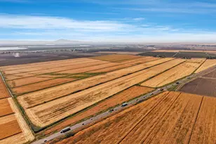 17131 Jackson Slough Rd, Isleton, CA 95641 - Photo 25