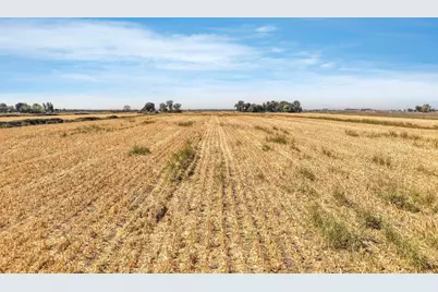 17131 Jackson Slough Road, Isleton, CA 95641 - Photo 15