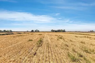 17131 Jackson Slough Rd, Isleton, CA 95641 - Photo 15