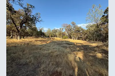 18891 Tanglewood Hollow Way, Grass Valley, CA 95949 - Photo 5