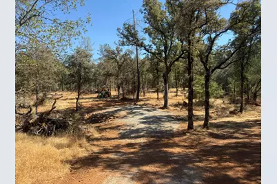 18891 Tanglewood Hollow Way, Grass Valley, CA 95949 - Photo 13