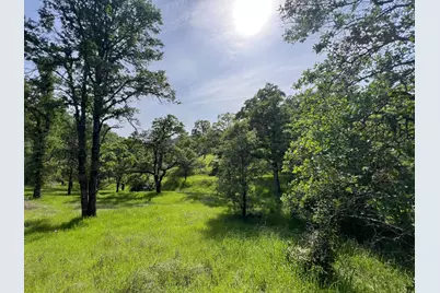 11185 Peoria Road, Browns Valley, CA 95918 - Photo 3