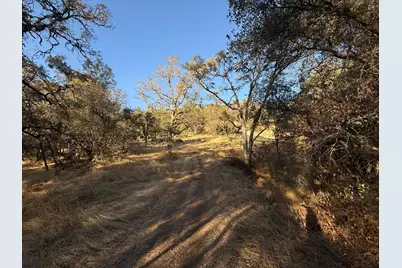 11185 Peoria Road, Browns Valley, CA 95918 - Photo 9
