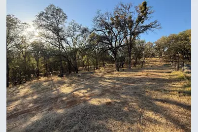 11185 Peoria Road, Browns Valley, CA 95918 - Photo 11