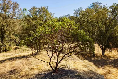 0 Samara Hills Drive, Campo Seco, CA 95226 - Photo 11