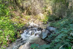 4081 Newtown Rd, Placerville, CA 95667 - Photo 85