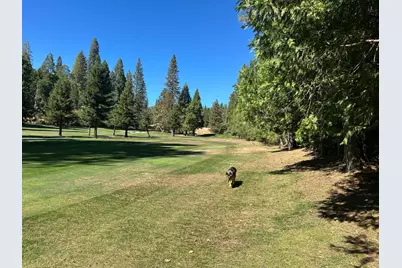 895 Meadow Drive, Arnold, CA 95223 - Photo 5