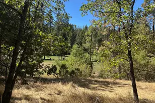 895 Meadow Dr, Arnold, CA 95223 - Photo 9