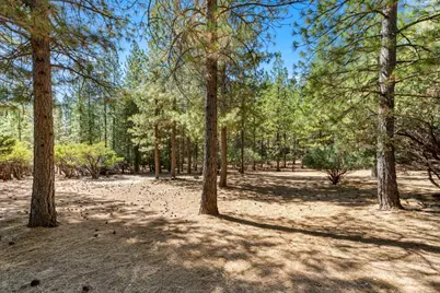 6829 Kings Row Drive, Grizzly Flats, CA 95636 - Photo 57