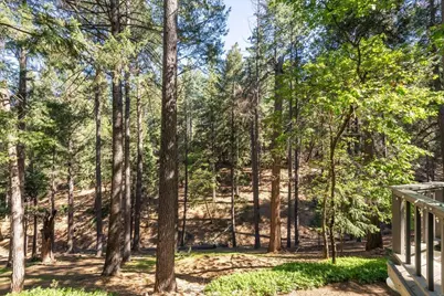 5671 Sierra Springs Drive, Pollock Pines, CA 95726 - Photo 11