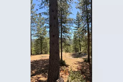 115 Main Street, Gold Run, CA 95717 - Photo 77