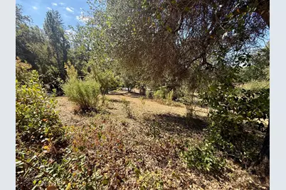 5970 Michel Road, Mountain Ranch, CA 95246 - Photo 71
