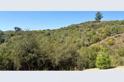 5970 Michel Road, Mountain Ranch, CA 95246 - Photo 81