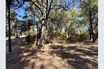 5970 Michel Road, Mountain Ranch, CA 95246 - Photo 79