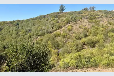 5970 Michel Road, Mountain Ranch, CA 95246 - Photo 83