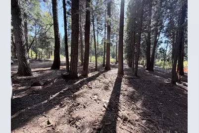 35655 Culberson Road, Alta, CA 95701 - Photo 7