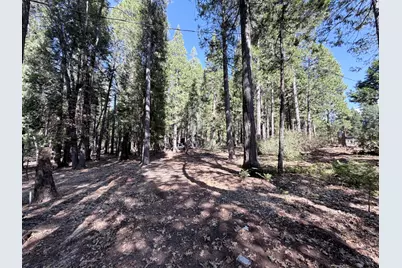 35655 Culberson Road, Alta, CA 95701 - Photo 19