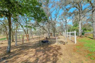 12001 Loma Rica Rd, Loma Rica, CA 95901 - Photo 69