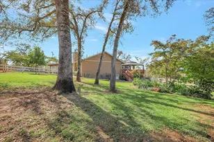 12001 Loma Rica Rd, Loma Rica, CA 95901 - Photo 63