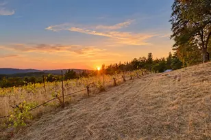 19299 Lake City Rd, Nevada City, CA 95959 - Photo 35