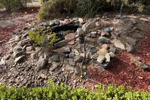401 Oak Ridge Ct, Valley Springs, CA 95252 - Photo 9