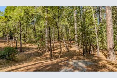 20507 Marimac Lane, Pine Grove, CA 95665 - Photo 11