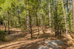 20507 Marimac Ln, Pine Grove, CA 95665 - Photo 11